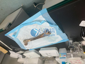 液氮冷凍研磨機(jī)破碎骨頭牙齒提取DNA實驗全過程！